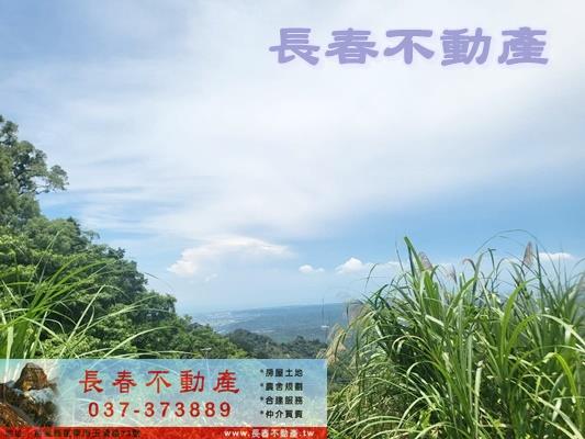 苗栗農地-0