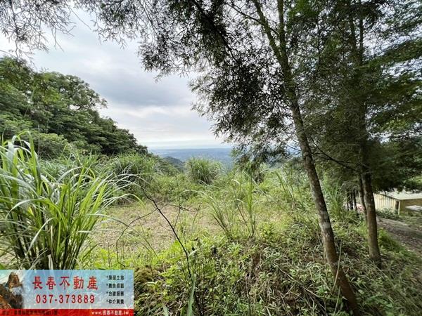 苗栗農地-1