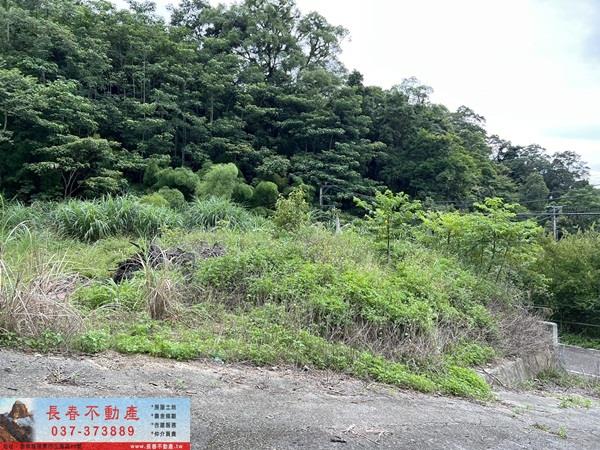 苗栗農地-3