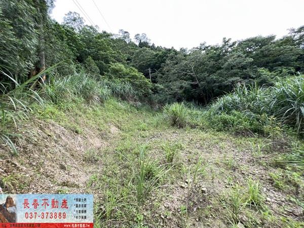 苗栗農地-8