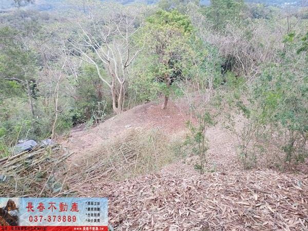 苗栗農地-0