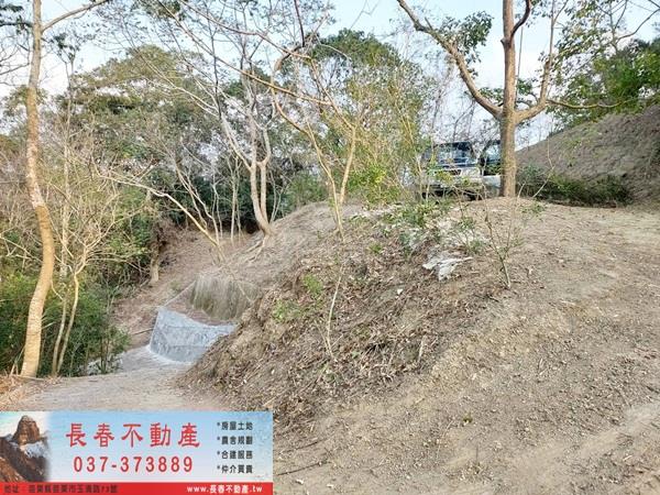 苗栗農地-2