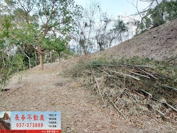 苗栗農地-3