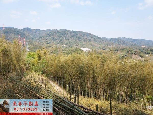 苗栗農地-5