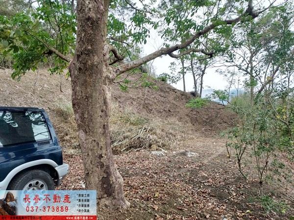 苗栗農地-6