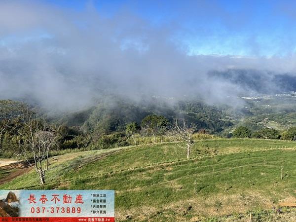 大湖農地-0