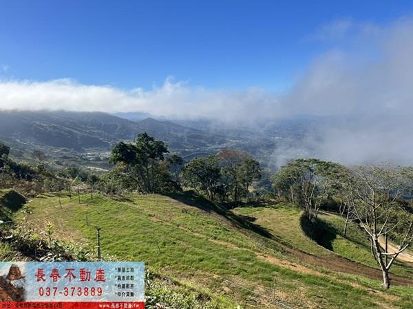 大湖農地-1