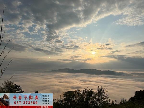 大湖農地-2