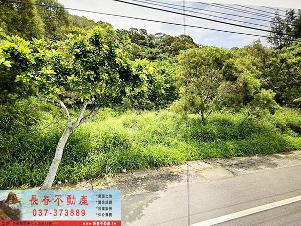 通霄農地-0