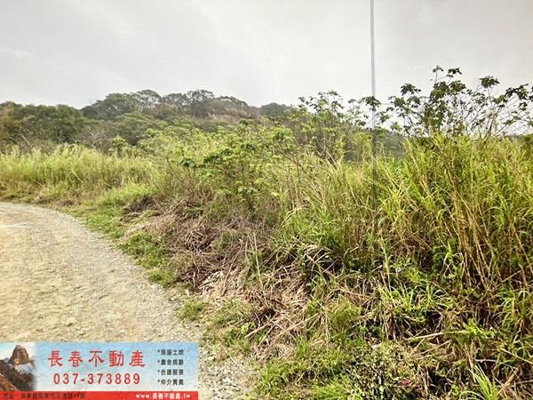 通霄農地-2