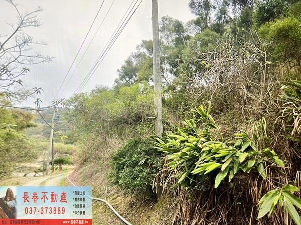 通霄農地-5
