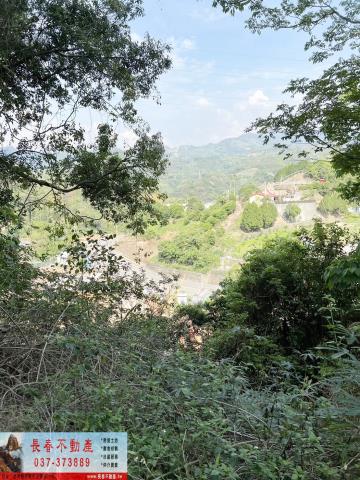 大湖林地-5