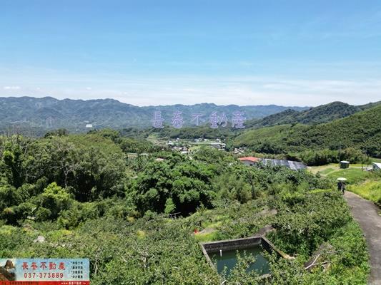 苗栗農地-2
