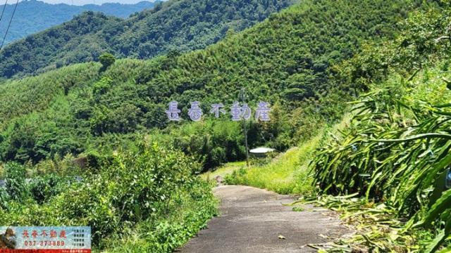 苗栗農地-3