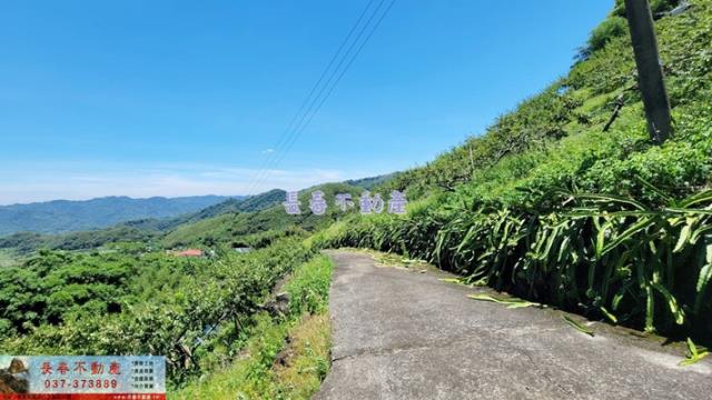 苗栗農地-4