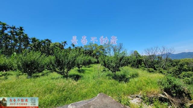 苗栗農地-5