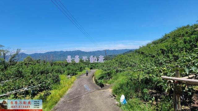 苗栗農地-7