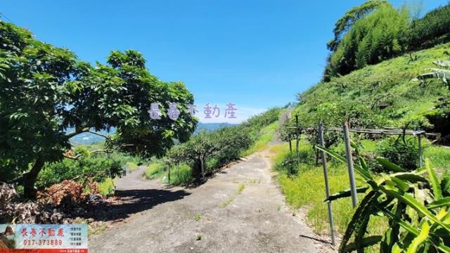 苗栗農地-8