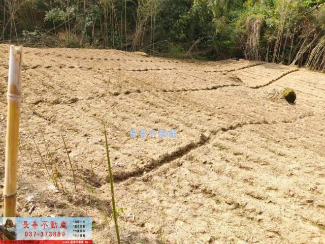 苗栗農地-1