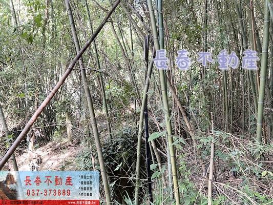 獅潭林地-3