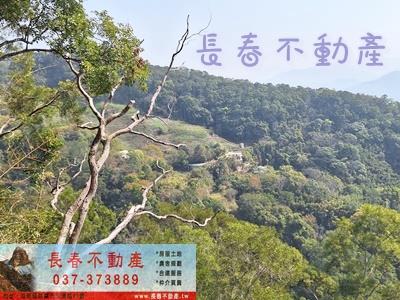 大湖農地-2