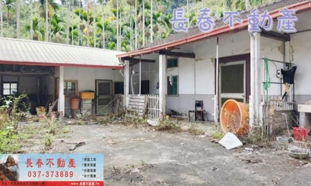 苗栗卓蘭林地-2