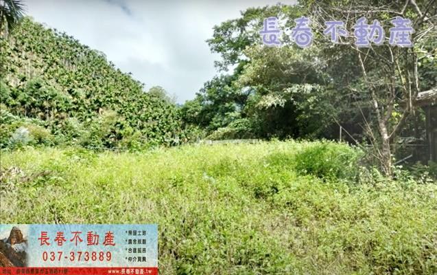 苗栗卓蘭林地-5