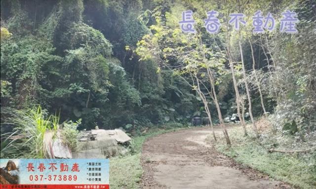 苗栗卓蘭林地-6