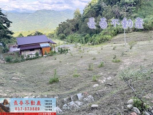 銅鑼農地-11