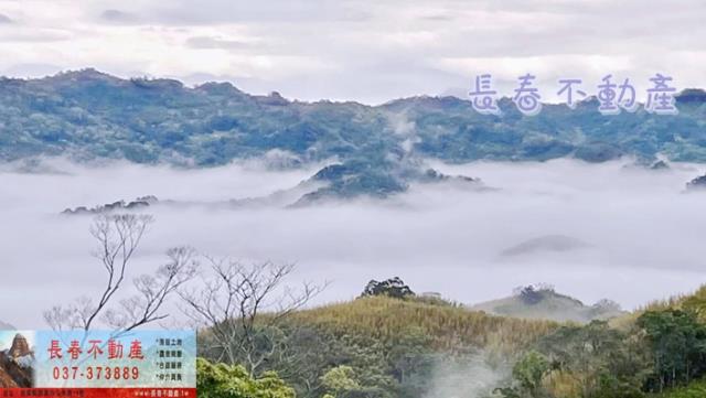 銅鑼農地-1