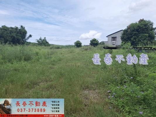 苗栗農地-5