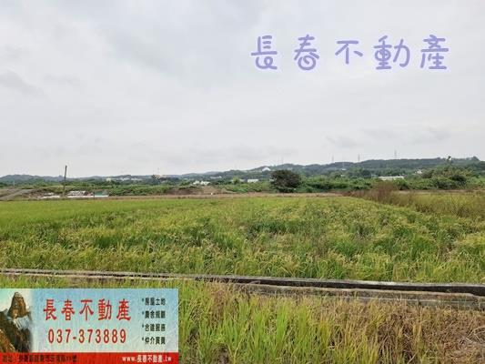 苗栗農地-2