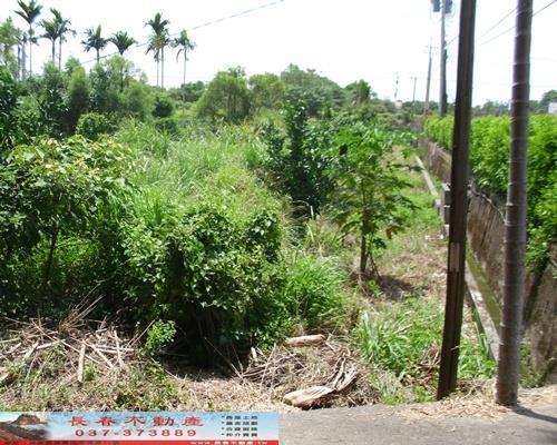 苗栗苗栗市農地-0