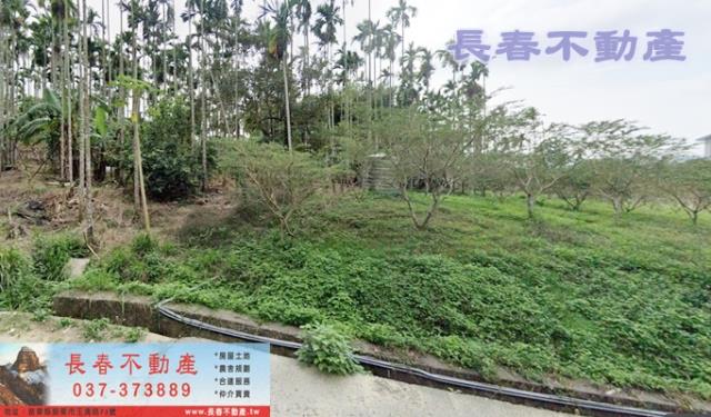 苗栗農地-0