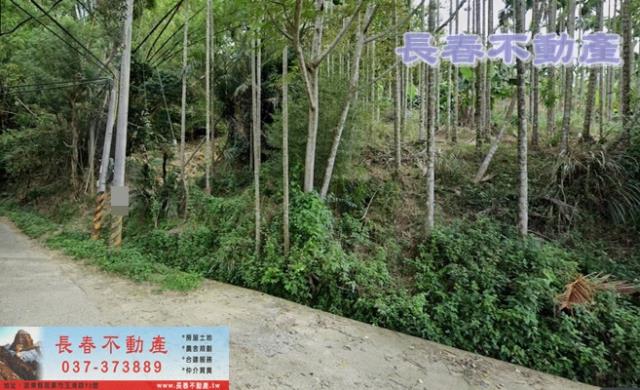 苗栗農地-2