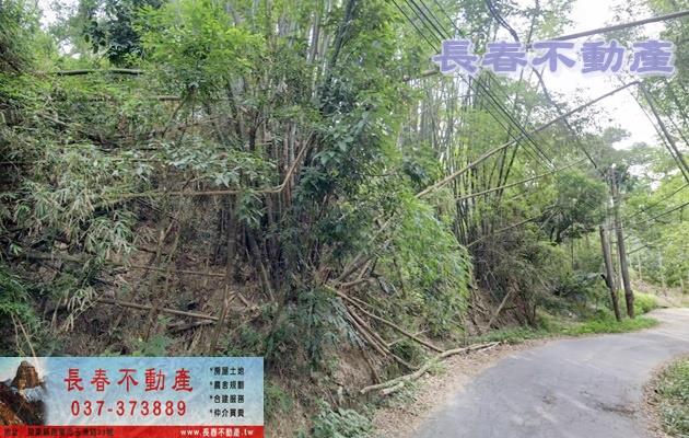 苗栗農地-3