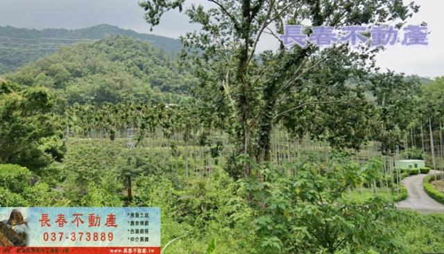 苗栗農地-1