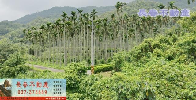 苗栗農地-2