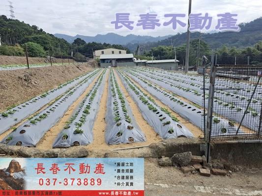 苗栗農地-0