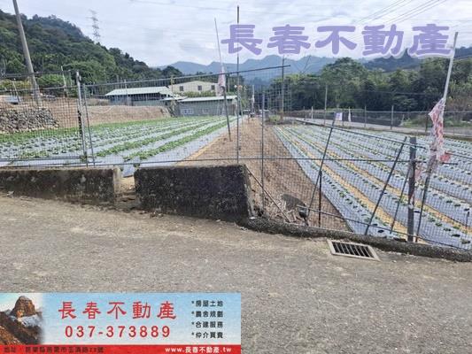 苗栗農地-1
