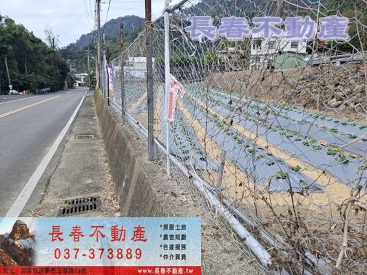 苗栗農地-4