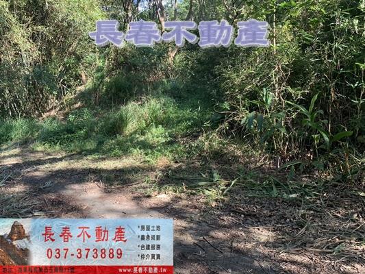 苗栗市農地-12