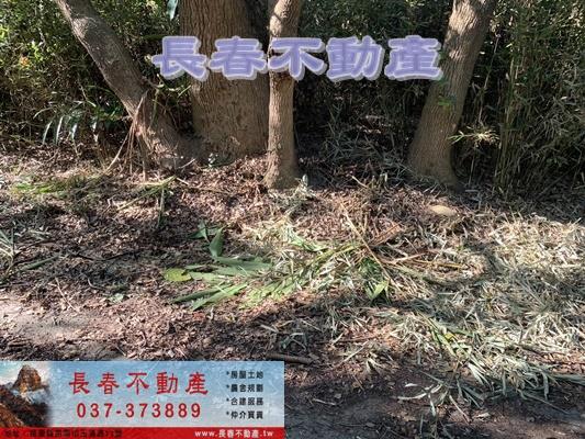 苗栗市農地-13