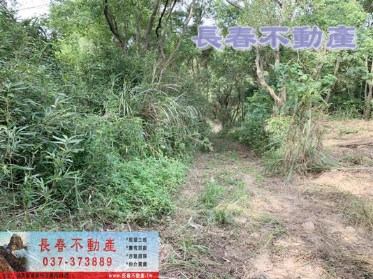苗栗市農地-0