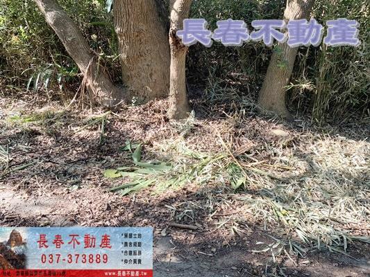 苗栗市農地-2