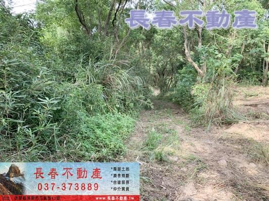 苗栗市農地-3