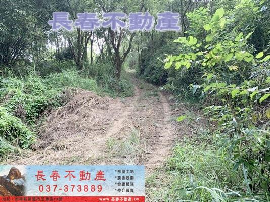 苗栗市農地-4