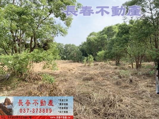 苗栗市農地-5