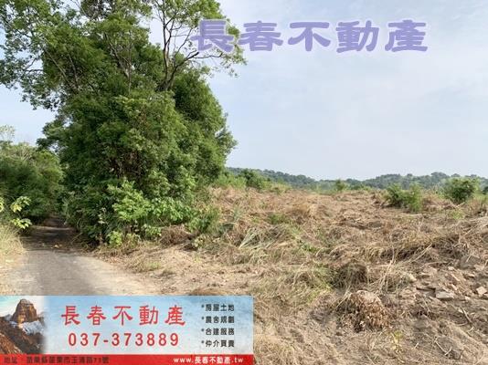 苗栗市農地-6