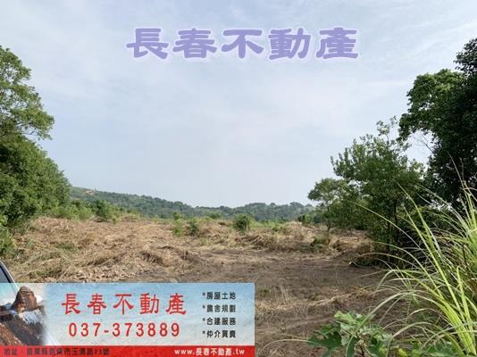 苗栗市農地-7